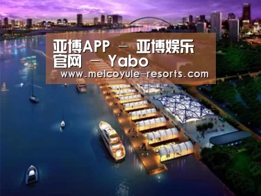 案例展示八