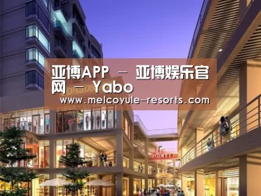 案例展示一