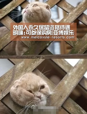外国人永久居留资格待遇明确:可参保购房|亚博娱乐(图1) 亚博娱乐