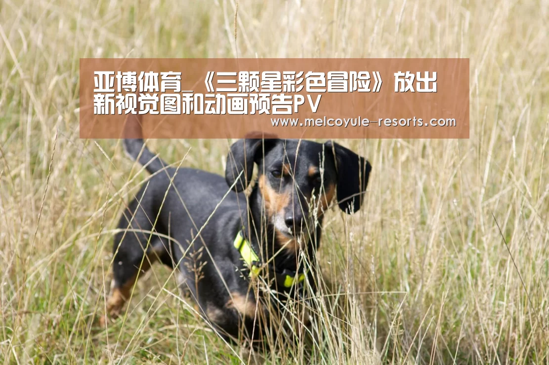 亚博体育_《三颗星彩色冒险》放出新视觉图和动画预告PV(图1) 亚博官网