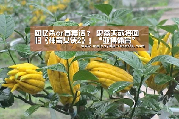 回忆杀or真复活? 史蒂夫或将回归《神奇女侠2》!“亚博体育”(图1) 亚博体育