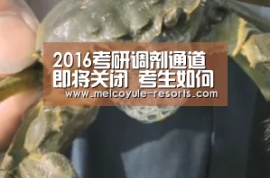 亚博首页