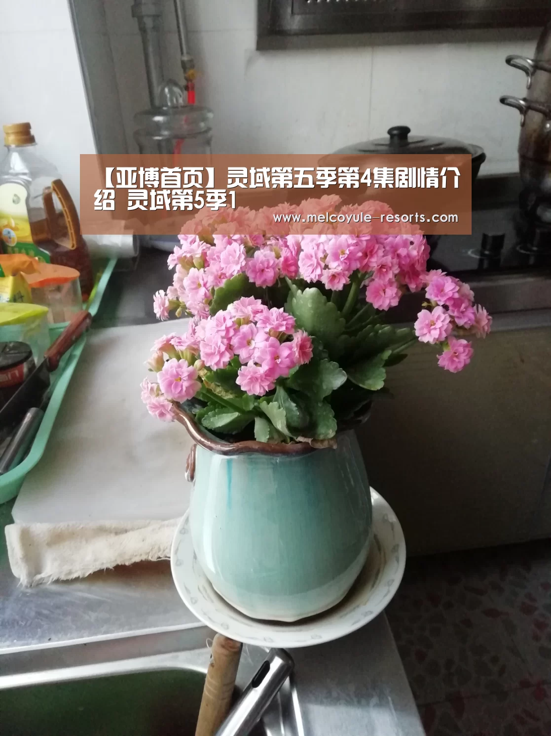 【亚博首页】灵域第五季第4集剧情介绍 灵域第5季1(图2)