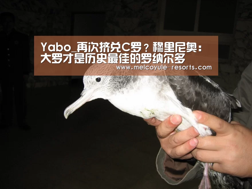 Yabo_再次挤兑C罗?穆里尼奥:大罗才是历史最佳的罗纳尔多(图3) 亚博首页